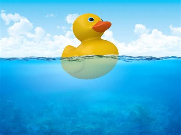 A Toy Duck Is Floating On The Water