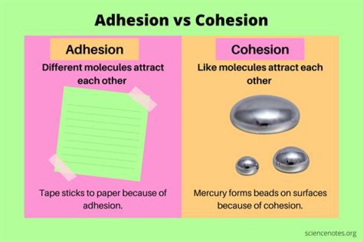 Adhesion - How To Discuss