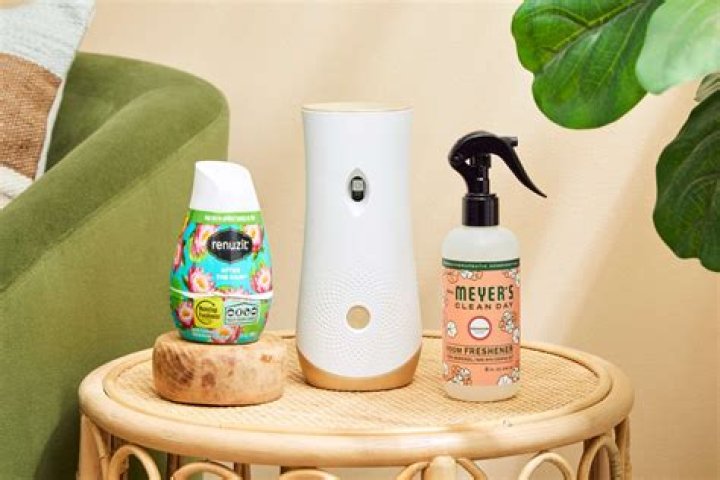 Air freshener for house - How To Discuss