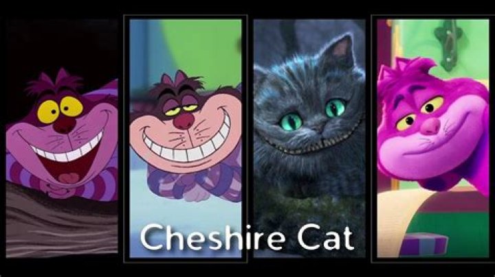 Alice In Wonderland Cat Name