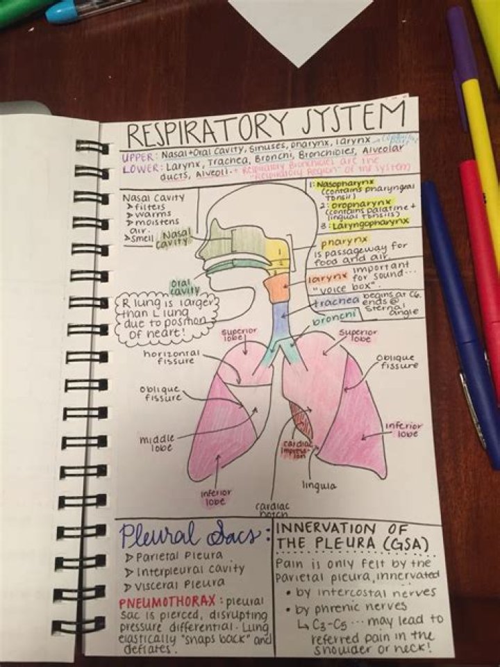 Anatomy class - How To Discuss