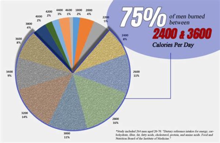 Average calories burned in a day