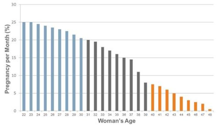 Average time to get pregnant