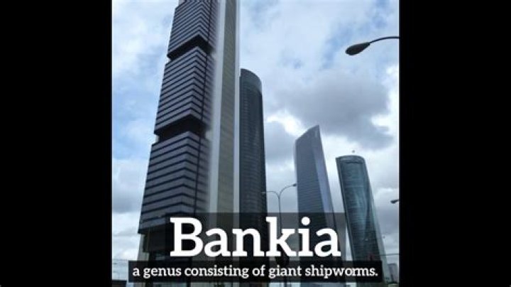 Bankia - How To Discuss
