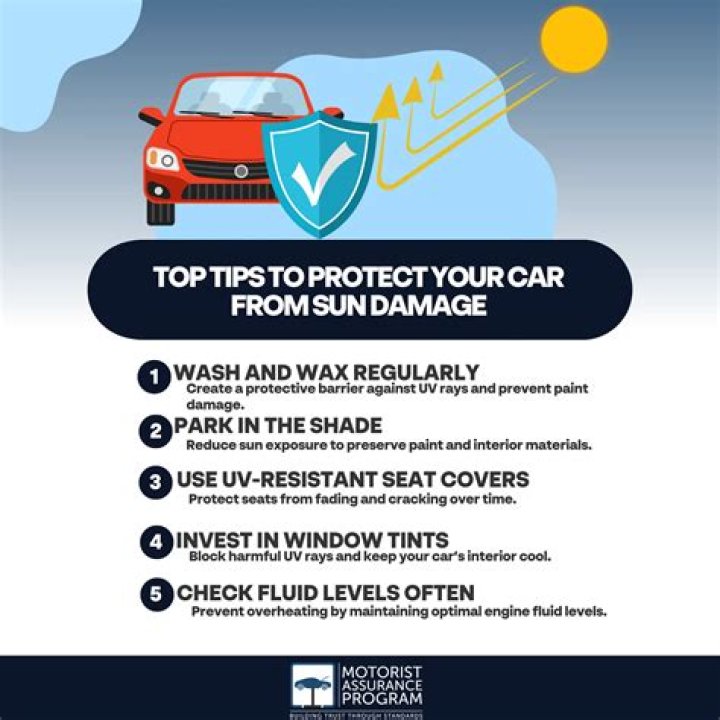 Beat the Heat: How You Can Protect Your Car From the Sun