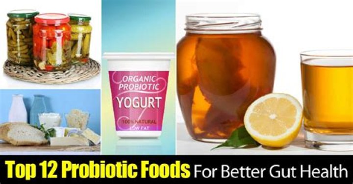Best probiotic for gut health
