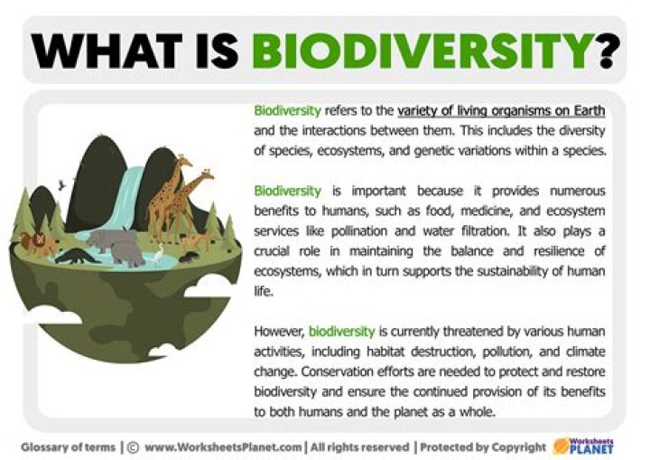 Biodiversity examples - How To Discuss