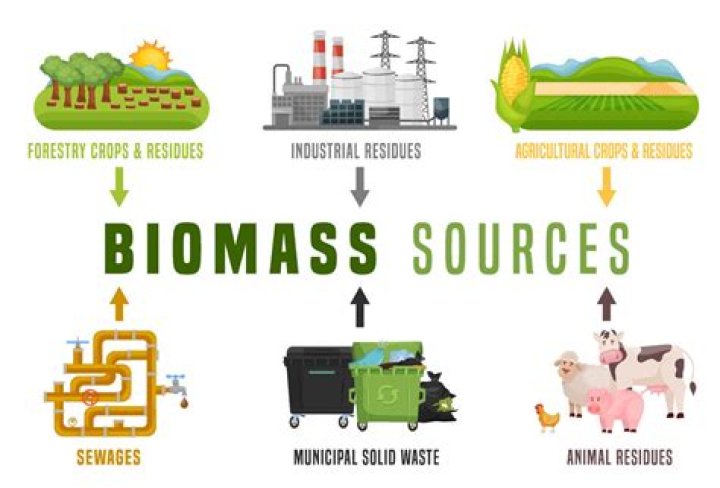 Biomass - How To Discuss