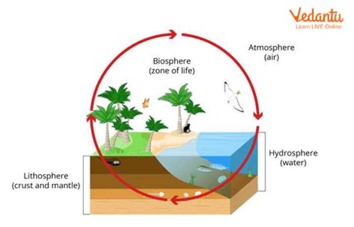 Biosphere - How To Discuss