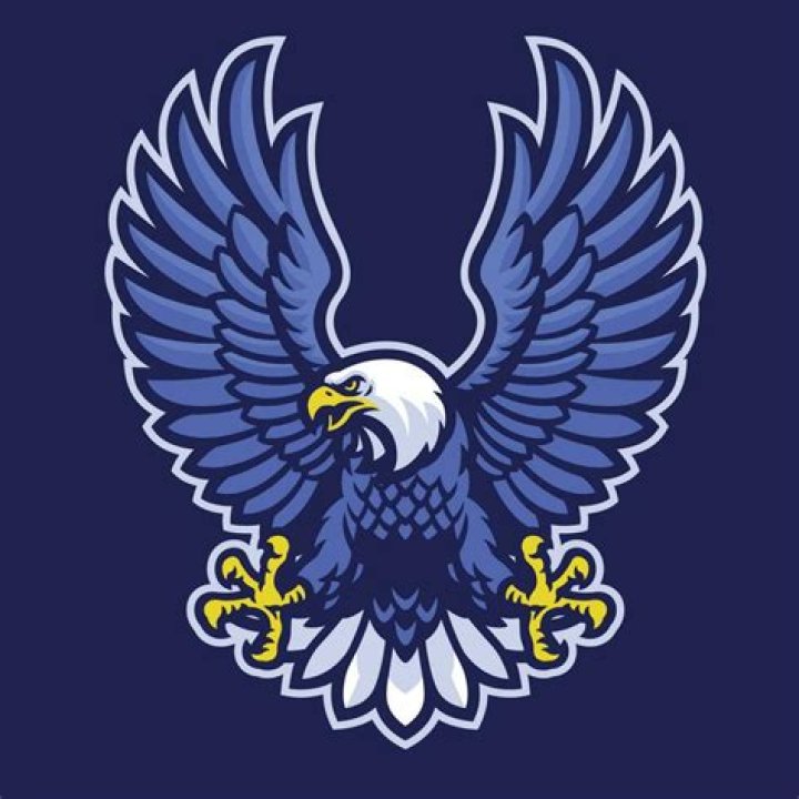Blue Eagle Logo - How To Discuss