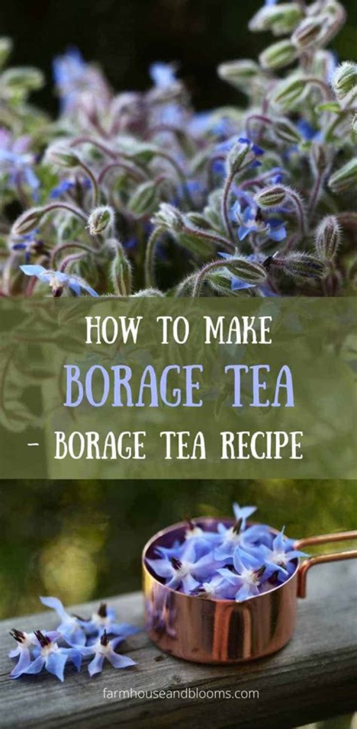 Borage - How To Discuss