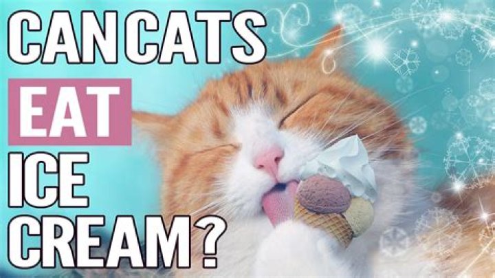 Can cats eat ice cream