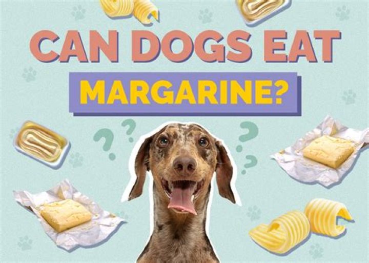 Can Dogs Eat Margarine - How To Discuss