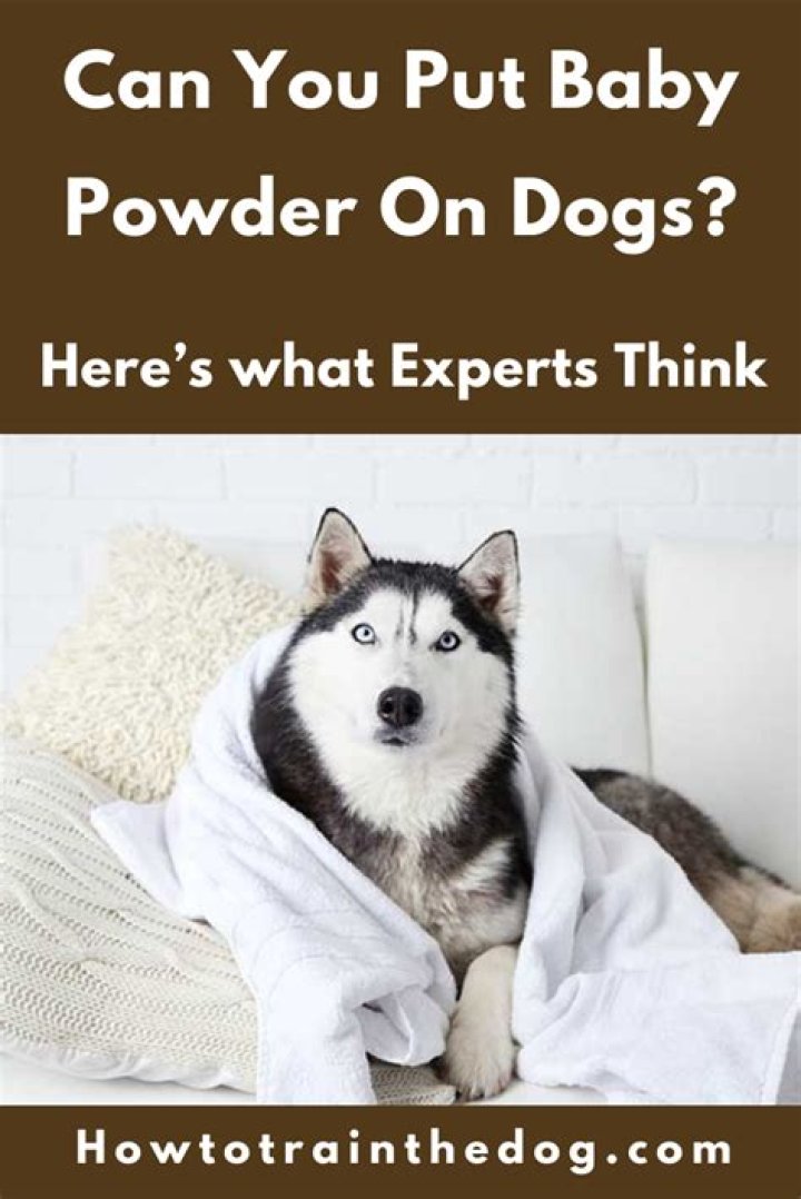 Can You Put Baby Powder On Dogs