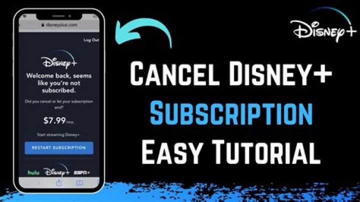 Cancel disney+ - How To Discuss