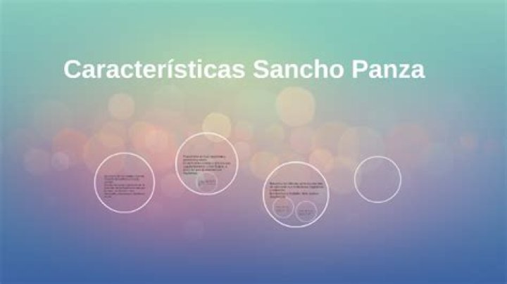 Caracteristicas Fisicas De Sancho Panza
