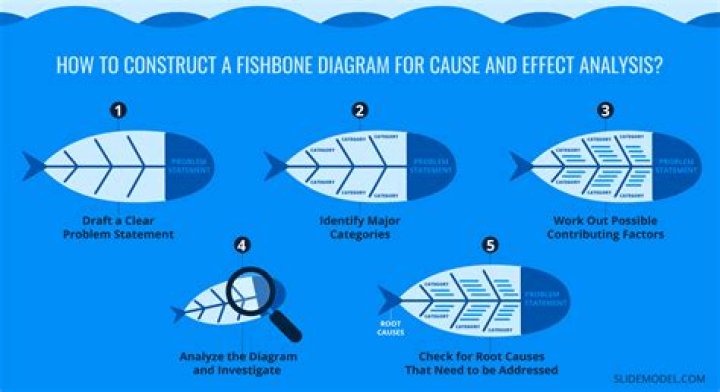 Cause and effect analysis - How To Discuss