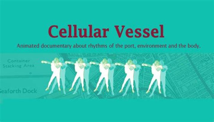 Cellular vessel - How To Discuss