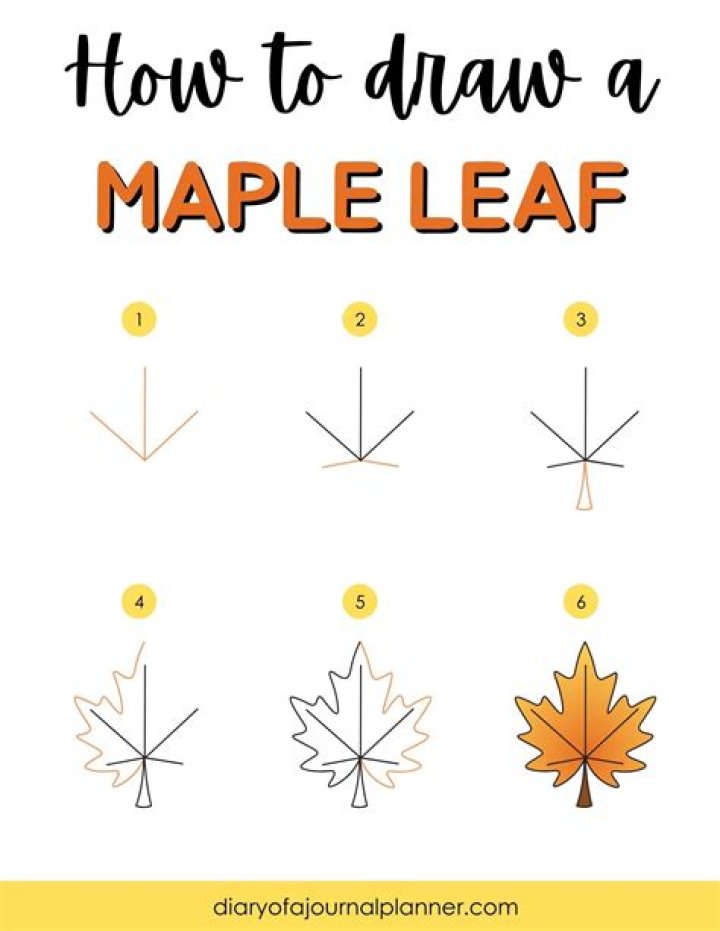 Cherry leaf - How To Discuss