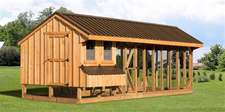 Chicken coop for 20 chickens