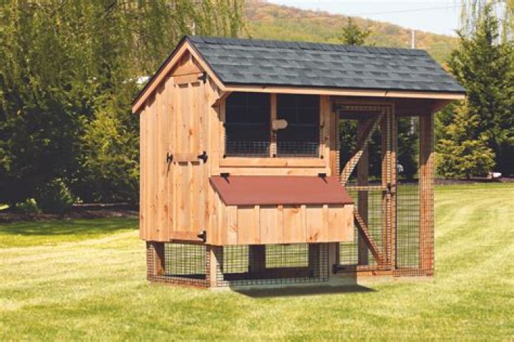 Chicken coop for 4 chickens