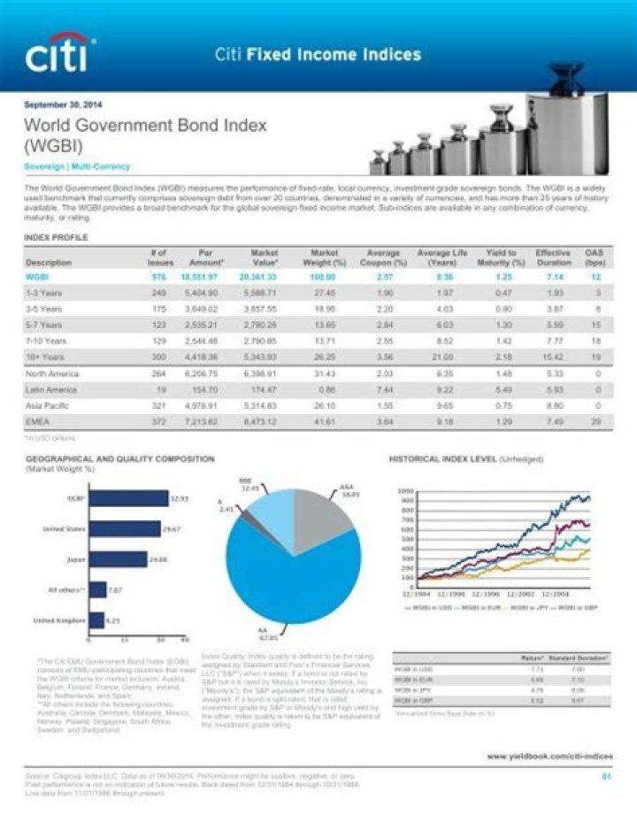 Citigroup Non-u.s. Dollar World Government Bond Index (citigroup Wgbi Non-us)