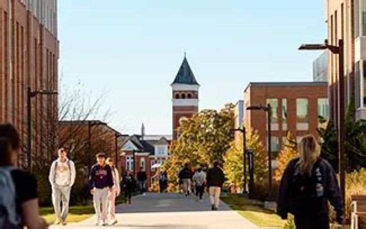 Clemson Bridge Program - How To Discuss