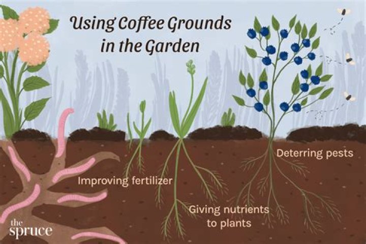 Coffee grounds - How To Discuss