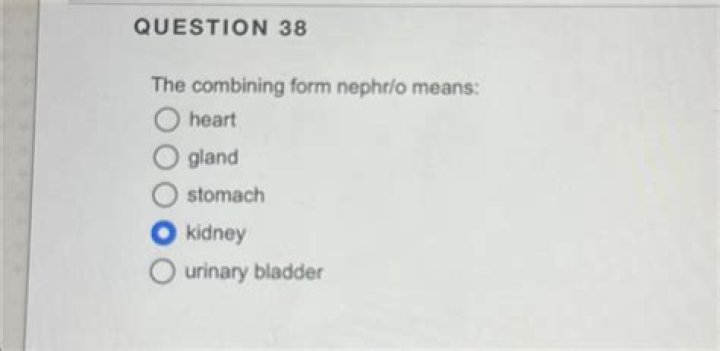 Combining Form Meaning Kidney - How To Discuss