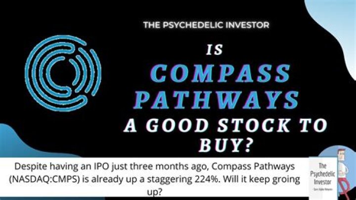 Compass pathways stock - How To Discuss