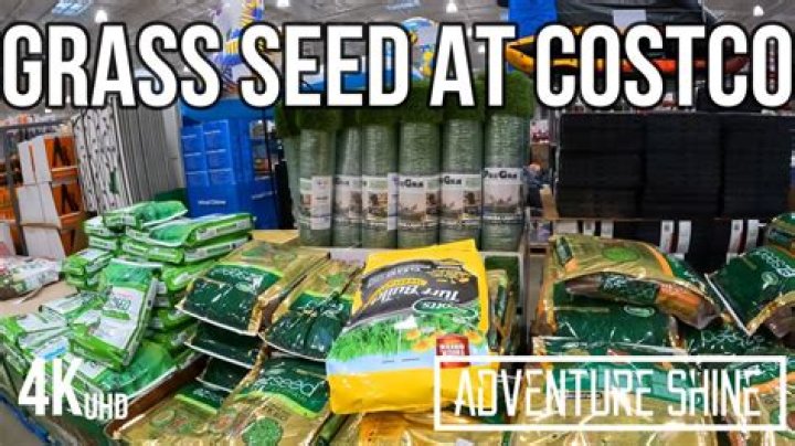 Costco Grass Seed - How To Discuss