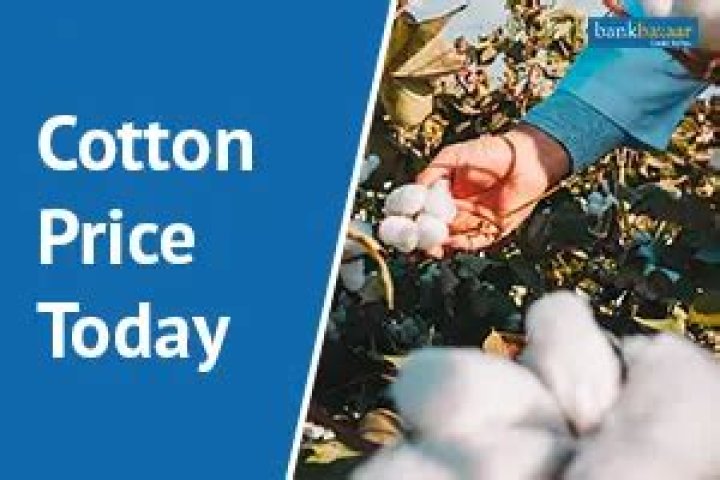 Cotton price today - How To Discuss