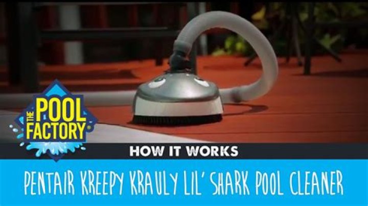 Creepy crawly pool cleaner - How To Discuss