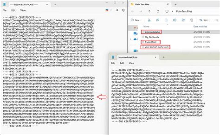 Crt To Pem - How To Discuss
