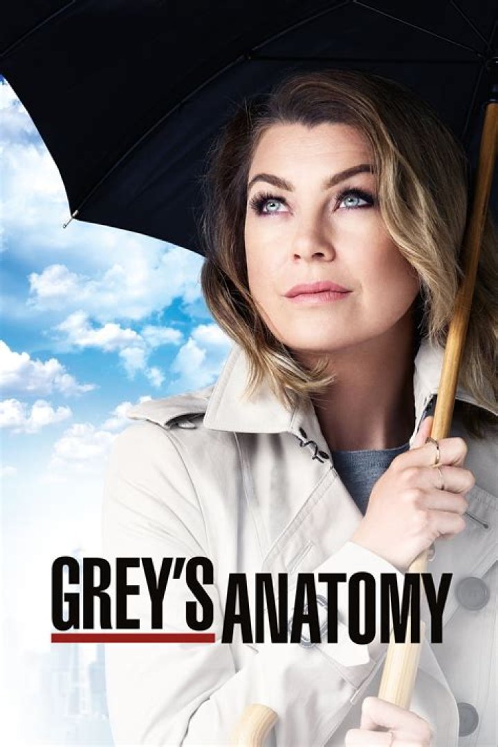Cuevana Greys Anatomy - How To Discuss