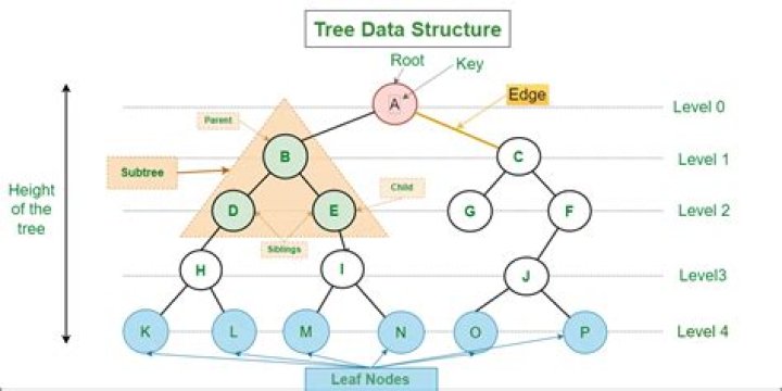 Data structure - How To Discuss