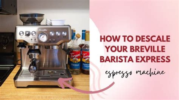 Descale breville barista express - How To Discuss