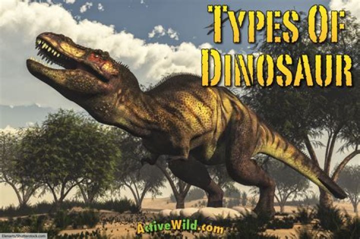 Different types of dinosaurs - How To Discuss