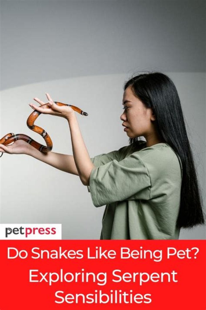 DO SNAKES LIKE BEING PET?