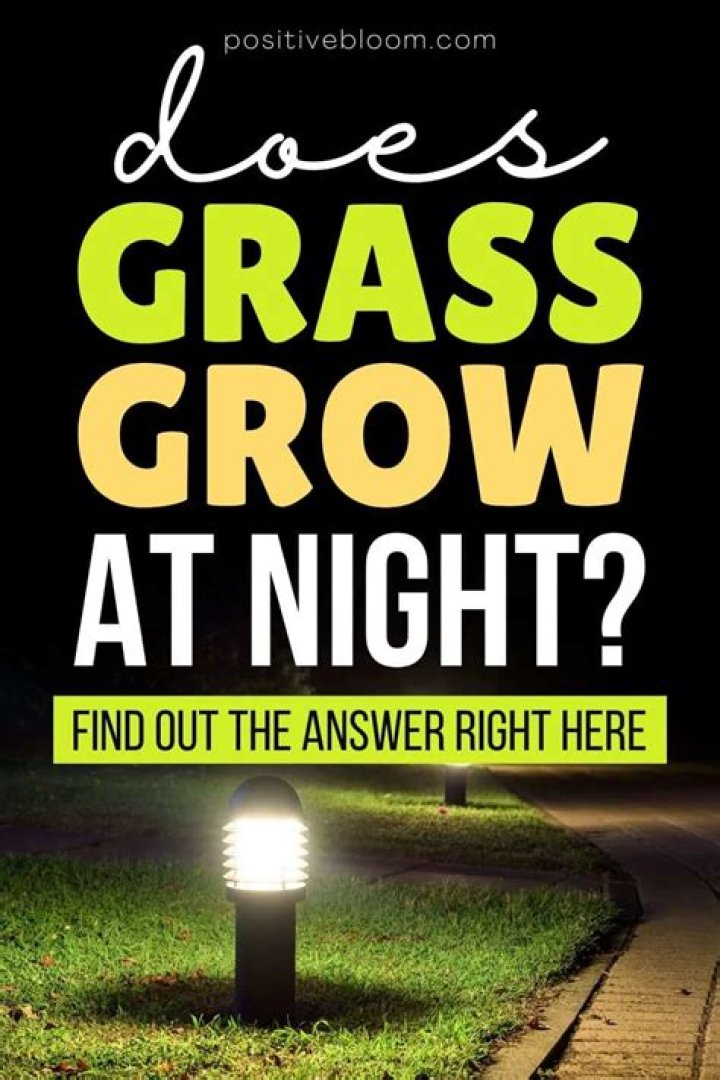 Does Grass Grow At Night