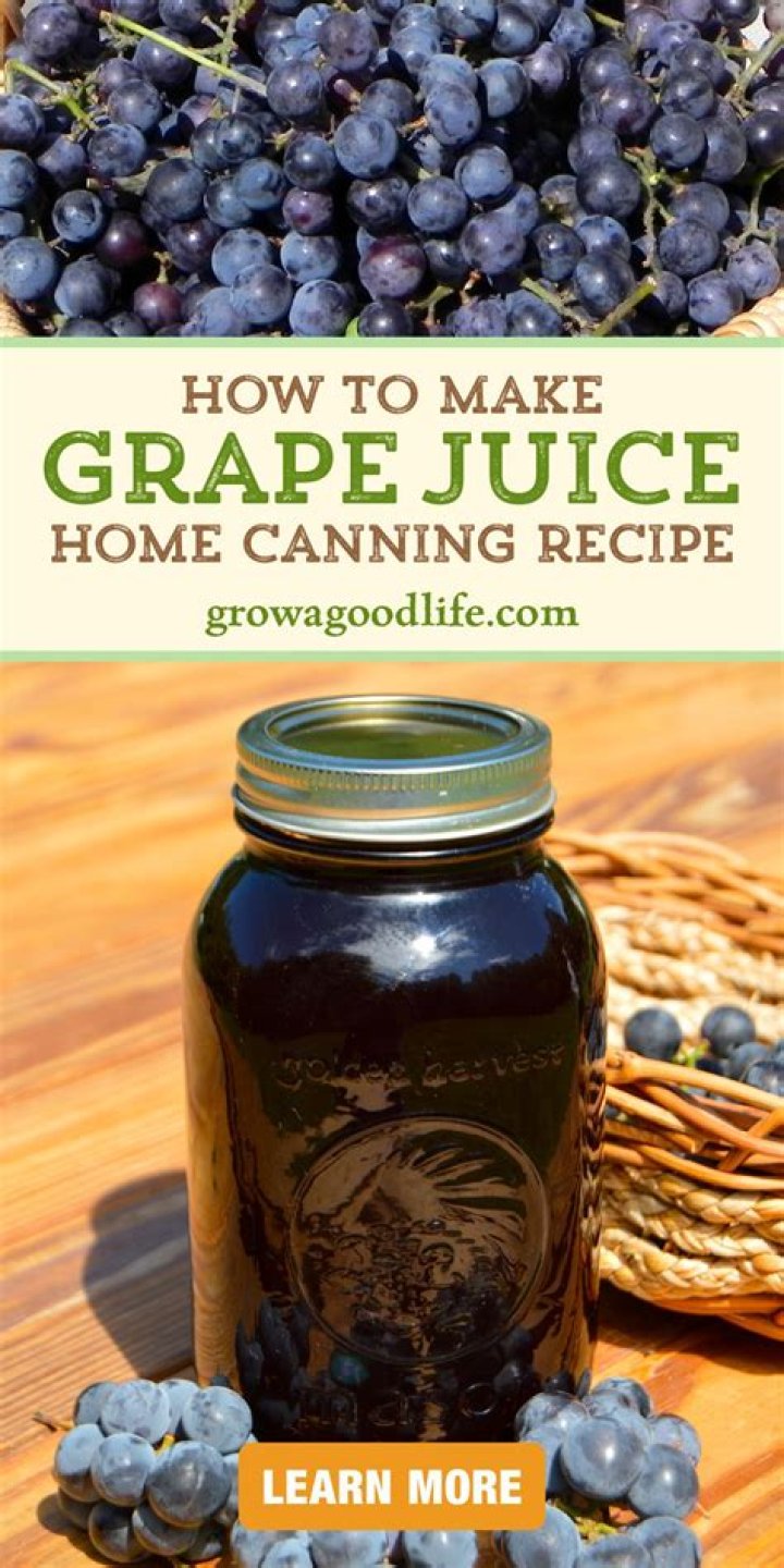 Dog Licked Grape Juice - How To Discuss
