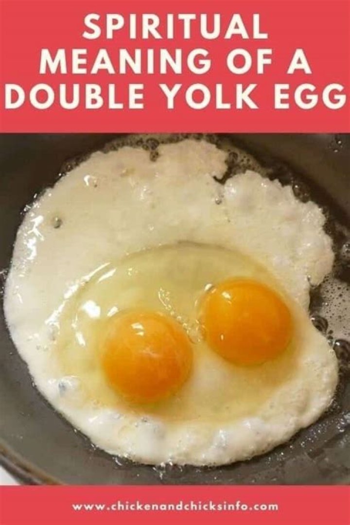 Double Yolk Egg Meaning - How To Discuss