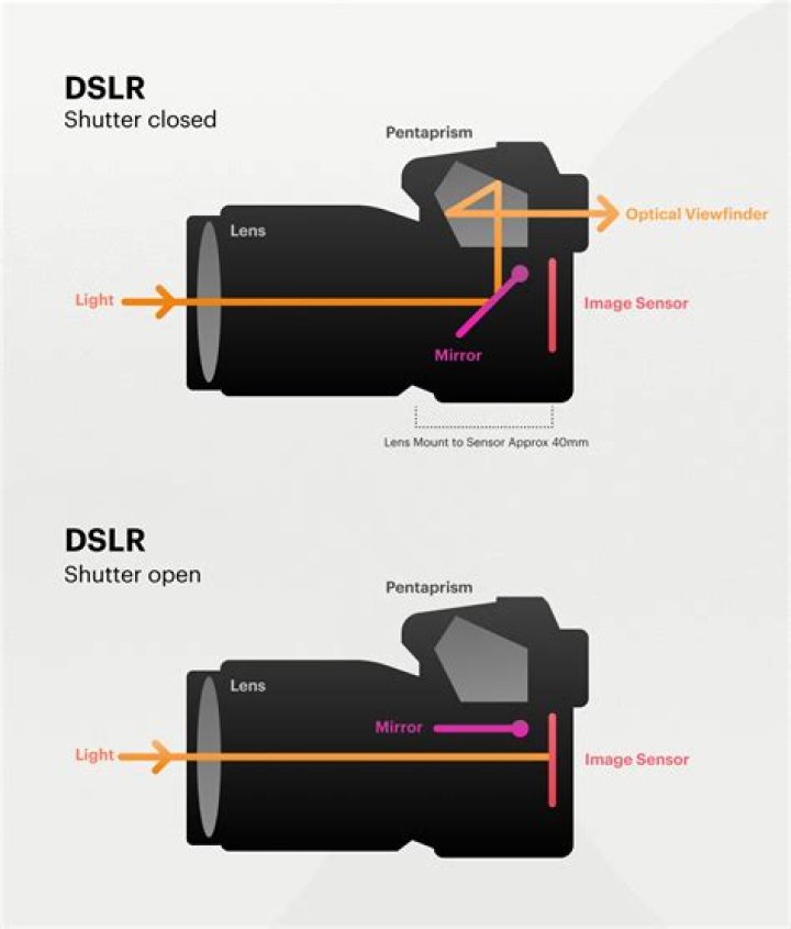Dslr meaning - How To Discuss