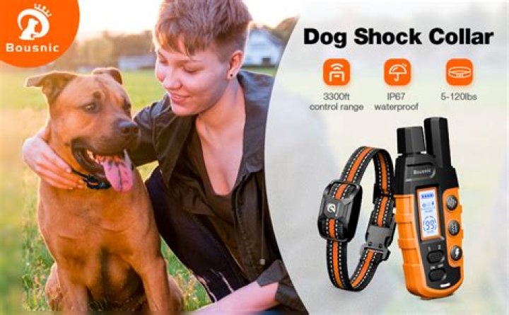 Dynamite For Dogs - How To Discuss