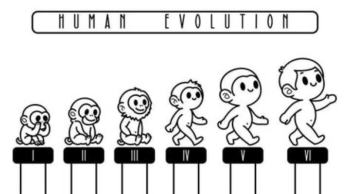 Evolution - How To Discuss