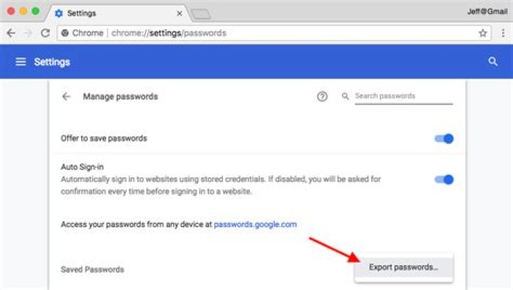 Export chrome passwords - How To Discuss