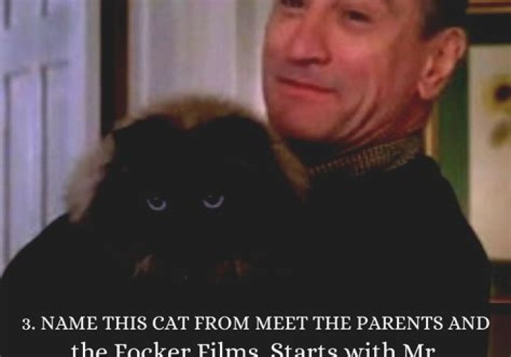 Fockers Cat Name - How To Discuss