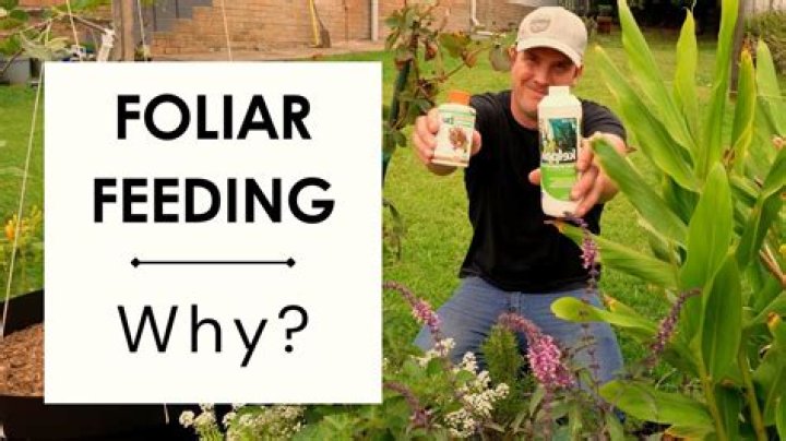 Foliar - How To Discuss