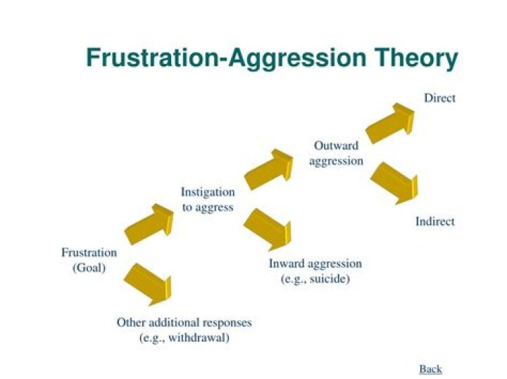 Frustration Aggression Principle - How To Discuss