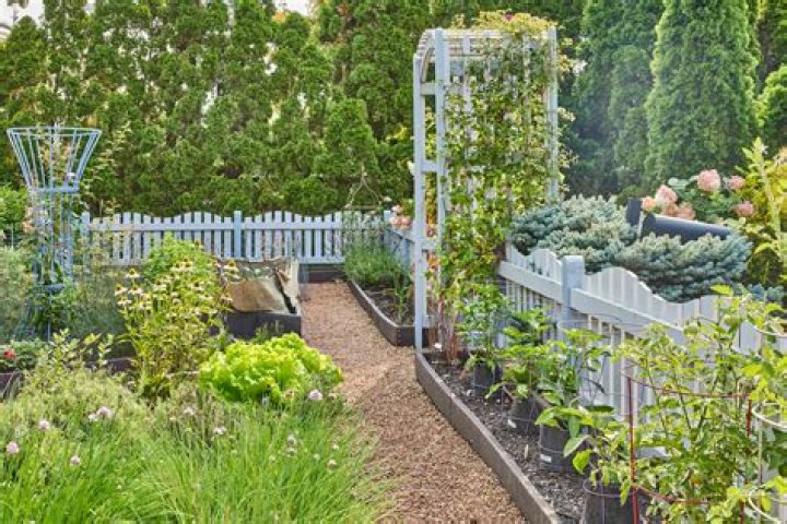 Garden layout ideas - How To Discuss